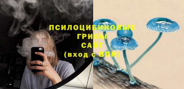 герыч Новодвинск