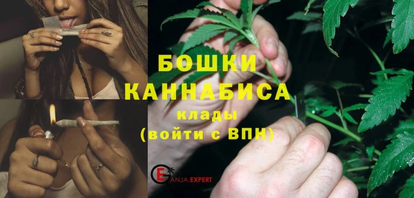 стафф Новозыбков