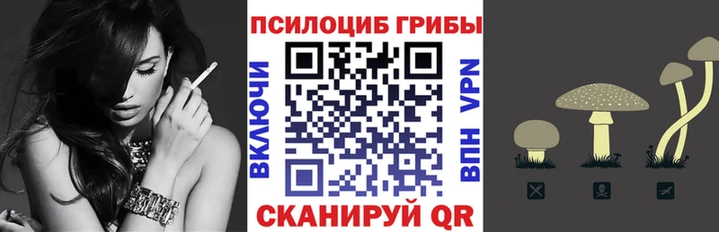 Псилоцибиновые грибы Psilocybe  площадка телеграм  Болхов  кракен рабочий сайт 